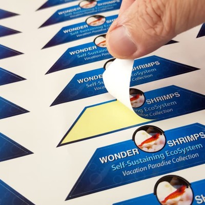 Baskes Folyo Etiket 5.2 × 8.4 cm (250 Adet) (Özel Kesim)            
                                            baskes,
                                online matbaa,
                                etiket baskı,
                                stickers online,
                                sticker baskı,
                                folyo baskı,
                                sticker,
                               etiket